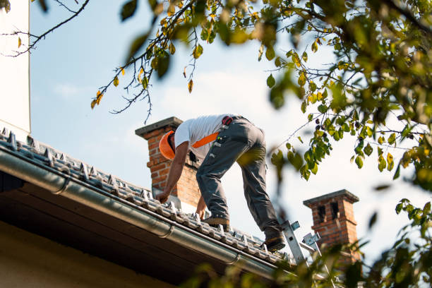 Best Roof Moss and Algae Removal  in Huntland, TN