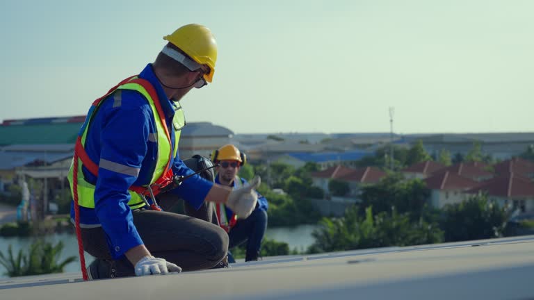 Best Skylight Installation and Repair  in Huntland, TN