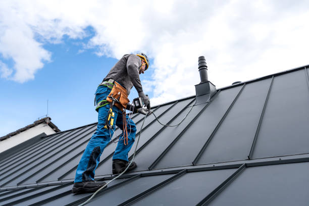 Best Skylight Installation and Repair  in Huntland, TN